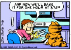 Garfield when do they call it oven original panel Meme Template