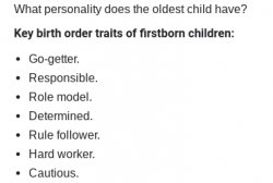 Traits of an older child Meme Template