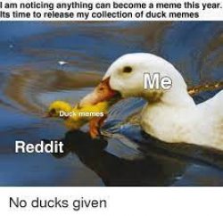 Duck:) Meme Template