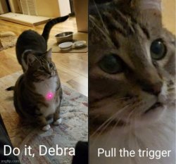 Do it, Debra pull the trigger Meme Template