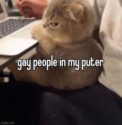 gay people in my puter Meme Template