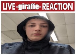 live -giraffe- reaction Meme Template