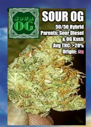 Sour OG Ad 1 Meme Template