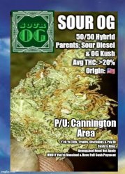 Sour OG Ad 2 Meme Template