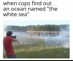 when cops find out an ocean is white Meme Template