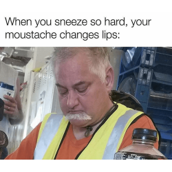 lip change Meme Template