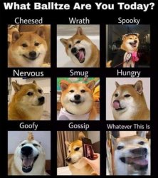 What Balltze are you today? Meme Template