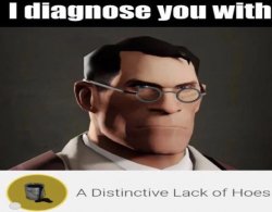 I diagnose you with A Distinctive Lack of Hoes Meme Template