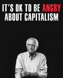 It’s ok to be angry about capitalism Meme Template