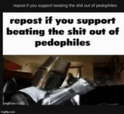 Beating the shit out of pedophiles Meme Template