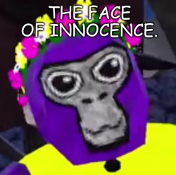 The face of innocence Meme Template