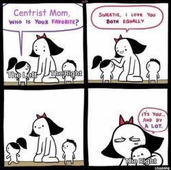 Centrist mom Meme Template