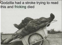 Godzilla had a stroke trying to read this and fricking died Meme Template