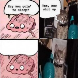 Sleepy cat Gurdjieff Meme Template