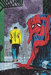 Spider-Man Trash Suit Comic Meme Template