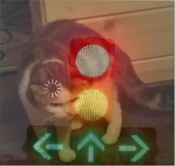 loading cat traffic light Meme Template