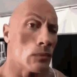 The rock Meme Template