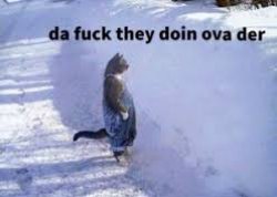 Da fuck they doin ova der Meme Template