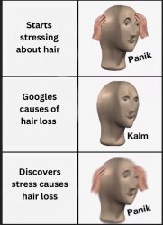 funny hair meme Meme Template