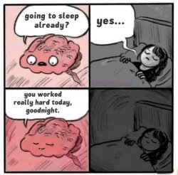 Sleep brain fine Meme Template