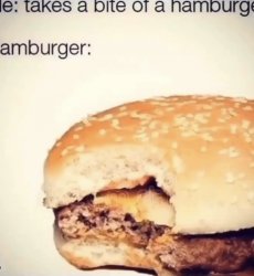 Hamburger Meme Template