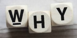 Why scrabble Meme Template