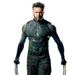 Wolverine DFP with transparency Meme Template