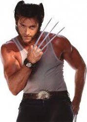 Wolverine claws Meme Template