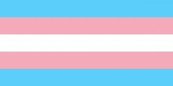 Trans Pride Flag Meme Template