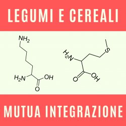 Legumi e Cereali Meme Template