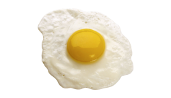 fried egg Meme Template