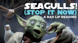 Seagulls Stop it now Meme Template