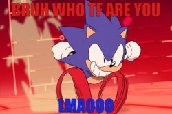 Sonic Bruh Who TF Are You Meme Template