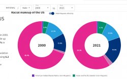 US race demographics 2000 - 2021 Meme Template