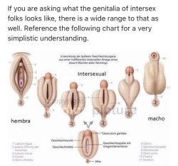 Intersex anatomy Meme Template