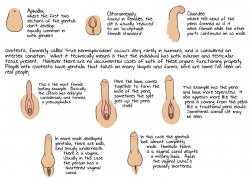 Intersex anatomy Meme Template