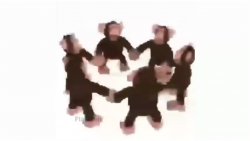 Happy Monkey Circle Meme Template