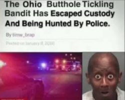 ohio man Meme Template