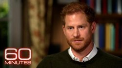 Prince Harry on CBS Meme Template