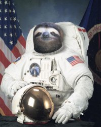 astronaut sloth Meme Template