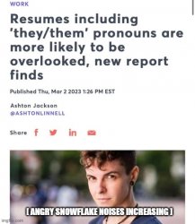 Why Gen Z can't find a Job. Meme Template