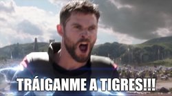 Traiganme a Tigres!!! Meme Template