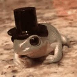 Distinguished Frog Gentleman Meme Template