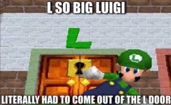 L so big Luigi had to come out the L door Meme Template