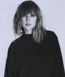 Taylor Swift Reputation era Meme Template
