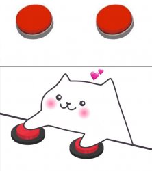 Sweet cat Meme Template