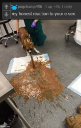 my honest reaction to your e-sex: Meme Template