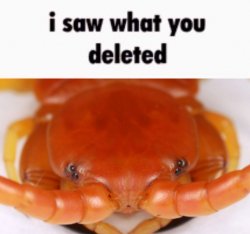 i saw what you deleted Meme Template