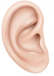 Ear Meme Template