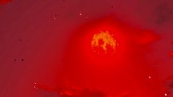 Blood moon BOTW Meme Template